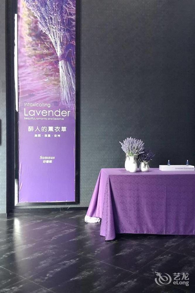 乐山上善居酒店 外观 照片